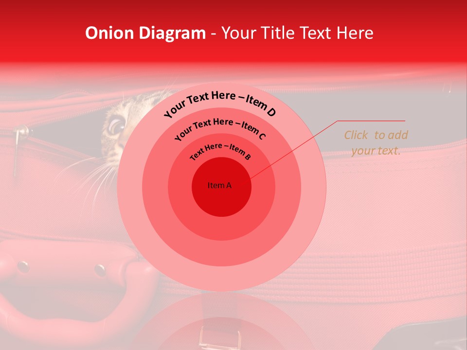 Cat In A Suitcase PowerPoint Template