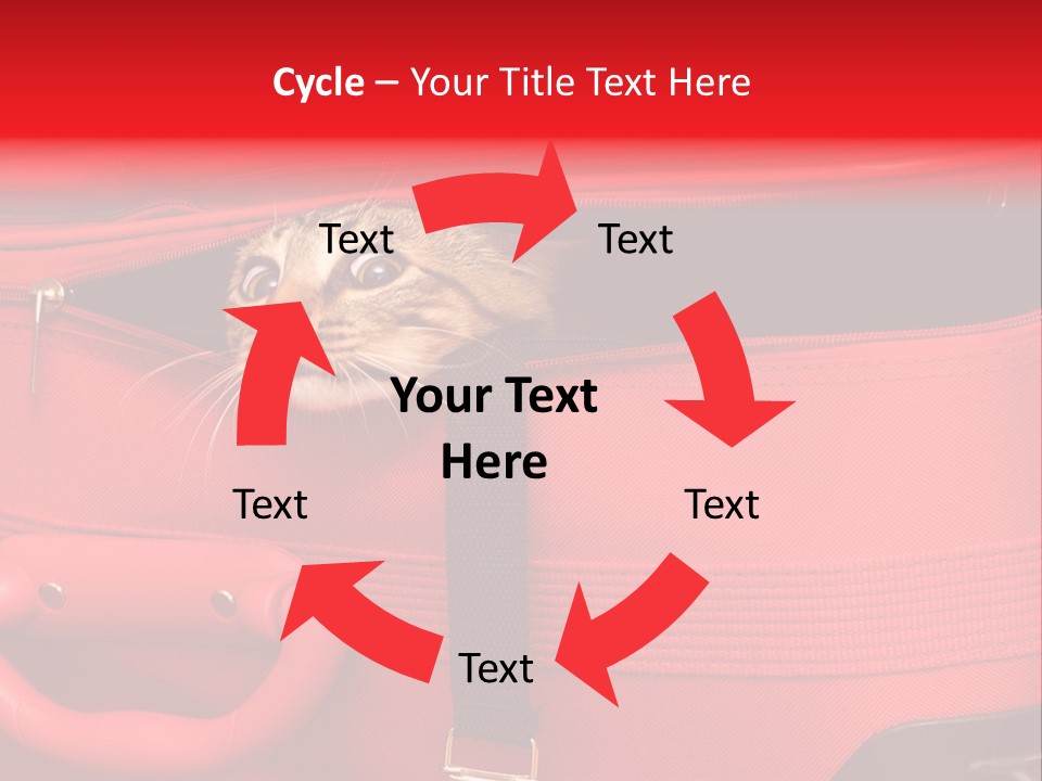 Cat In A Suitcase PowerPoint Template