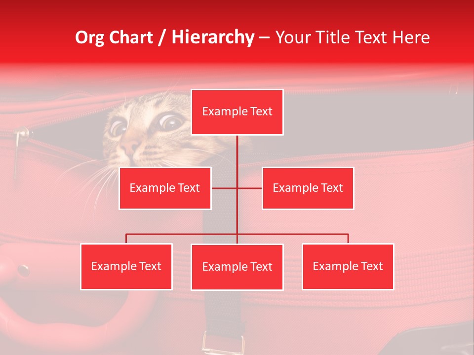 Cat In A Suitcase PowerPoint Template