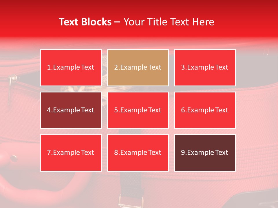 Cat In A Suitcase PowerPoint Template