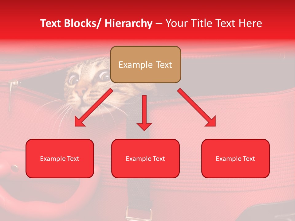 Cat In A Suitcase PowerPoint Template