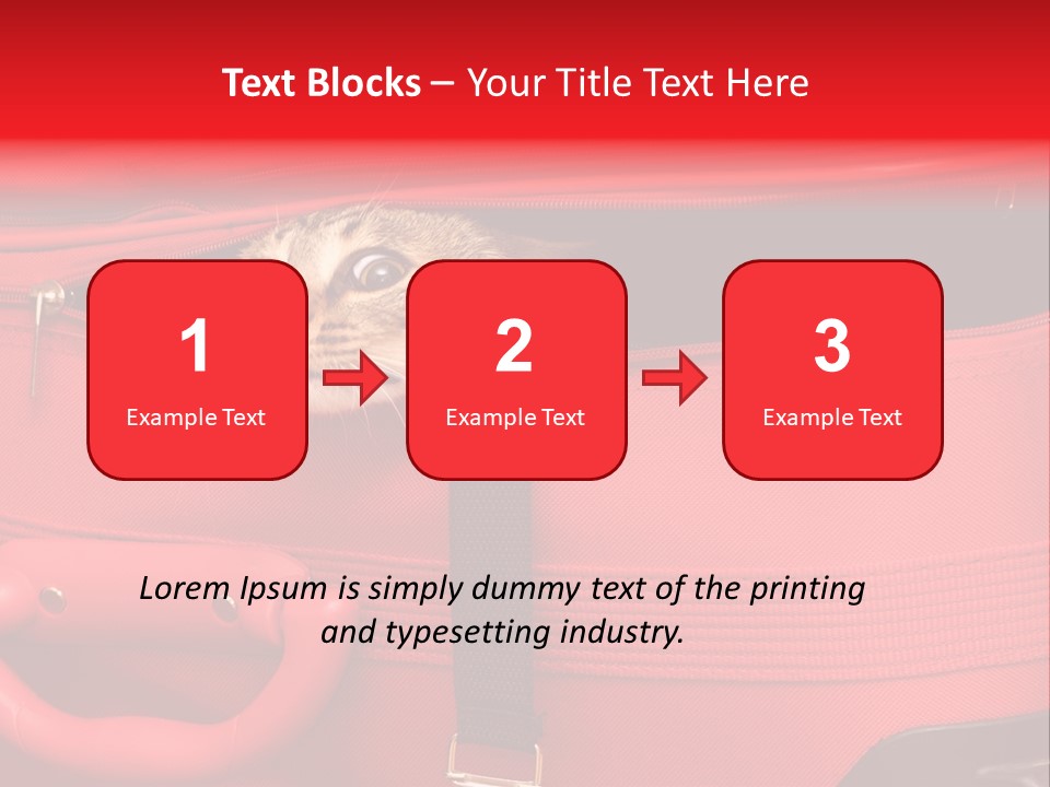 Cat In A Suitcase PowerPoint Template