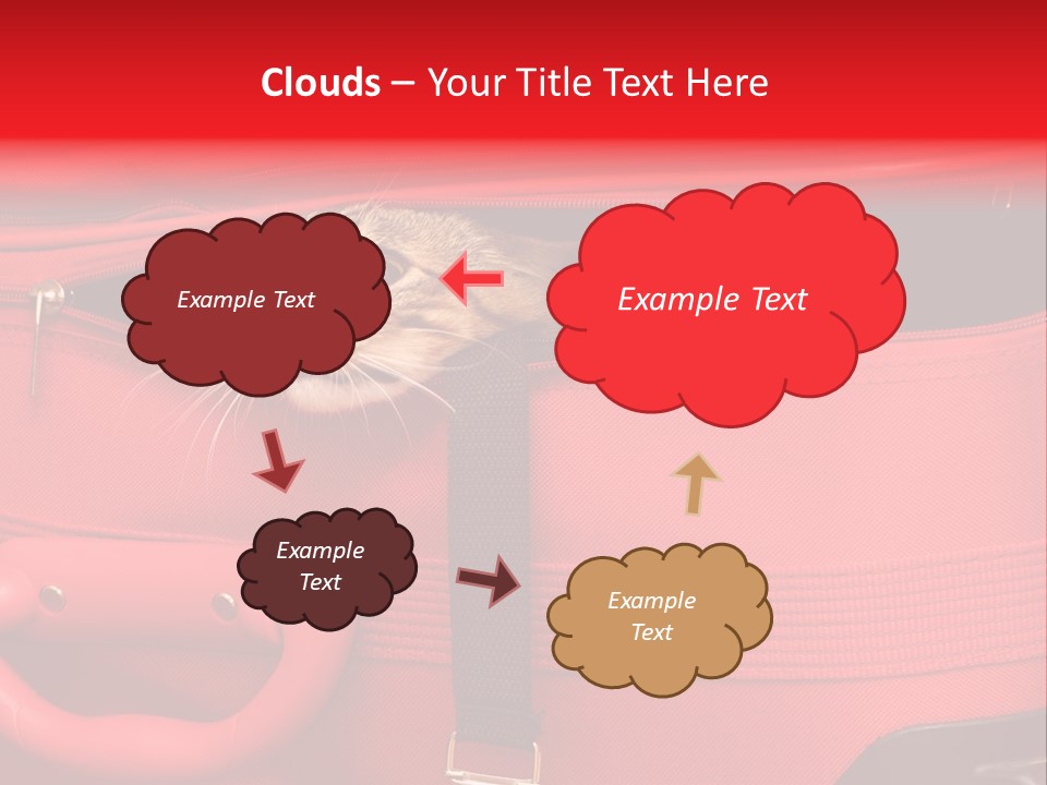Cat In A Suitcase PowerPoint Template
