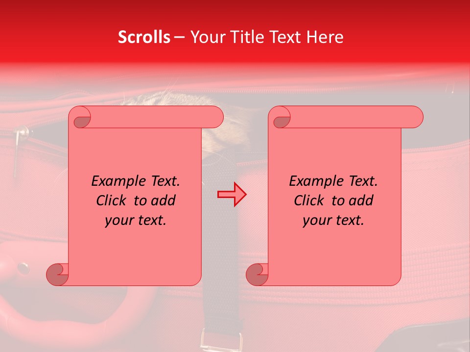 Cat In A Suitcase PowerPoint Template