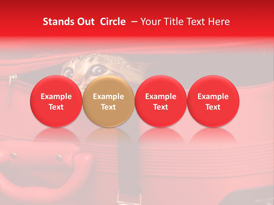 Cat In A Suitcase PowerPoint Template