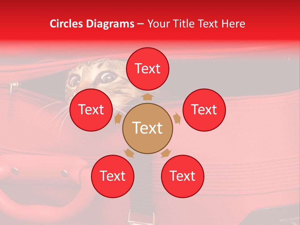 Cat In A Suitcase PowerPoint Template