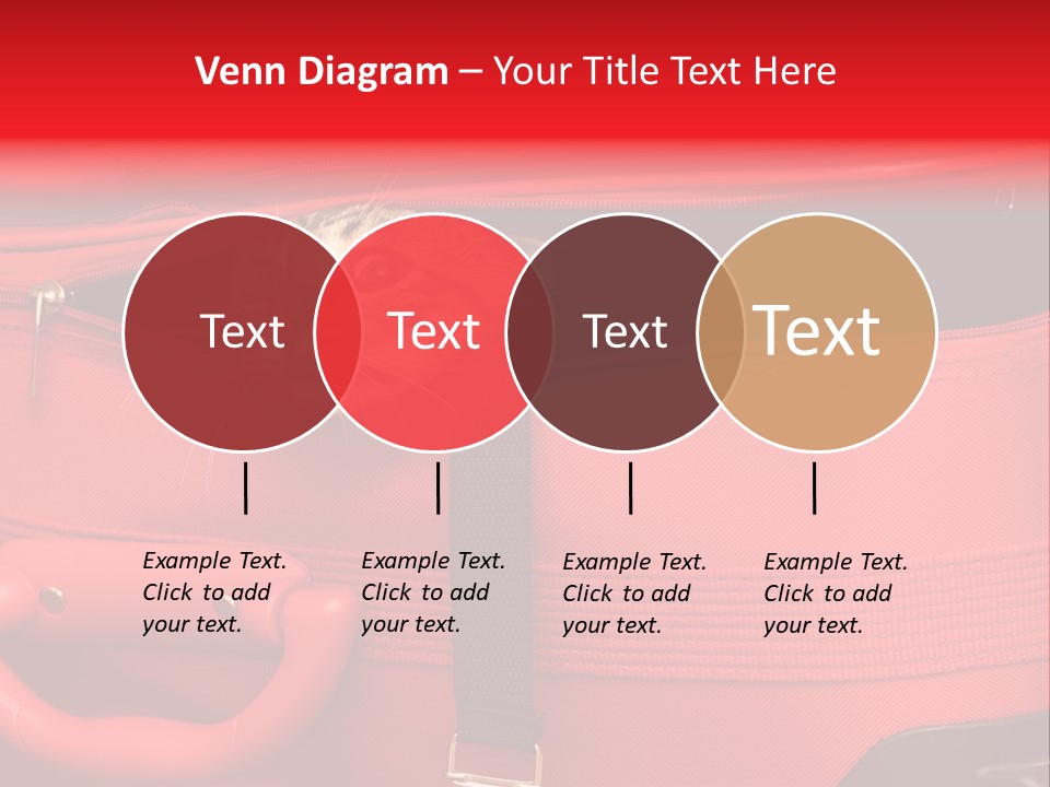 Cat In A Suitcase PowerPoint Template