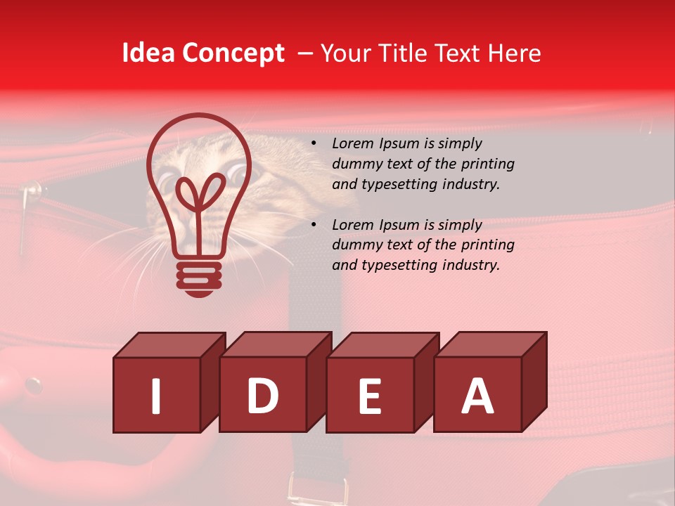 Cat In A Suitcase PowerPoint Template