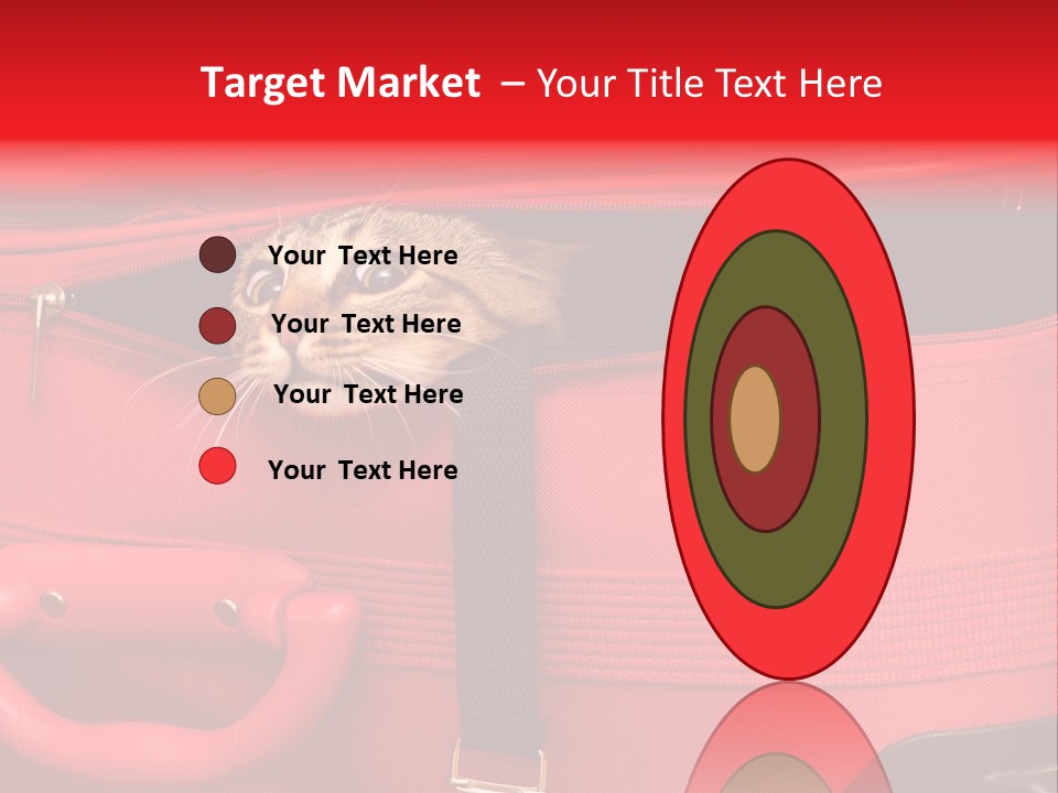 Cat In A Suitcase PowerPoint Template