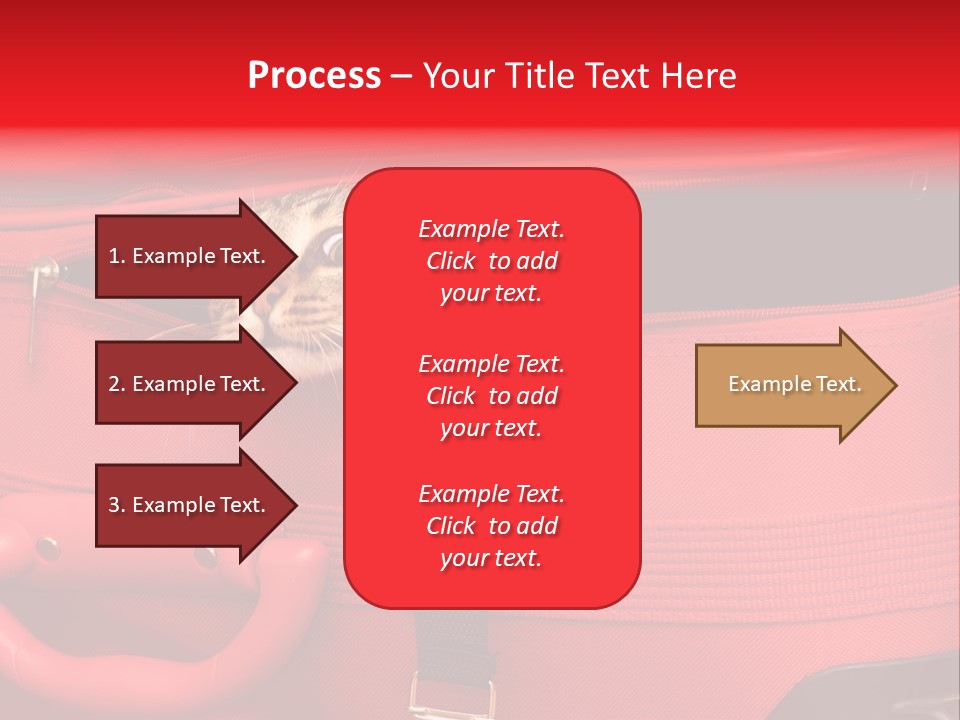 Cat In A Suitcase PowerPoint Template