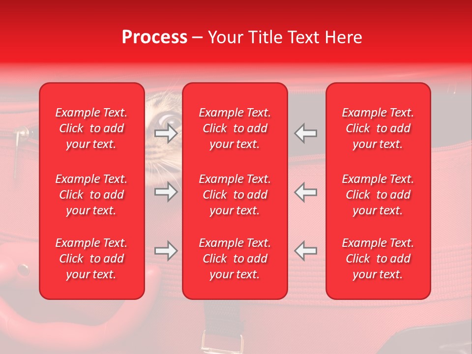 Cat In A Suitcase PowerPoint Template