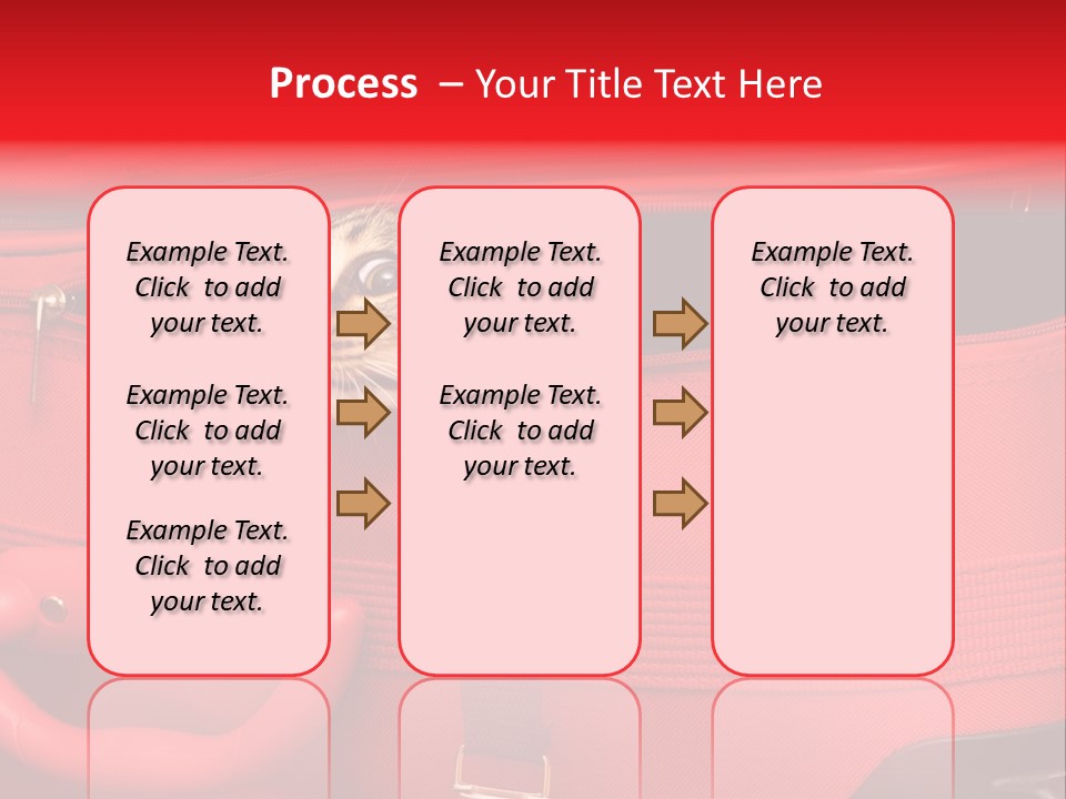 Cat In A Suitcase PowerPoint Template