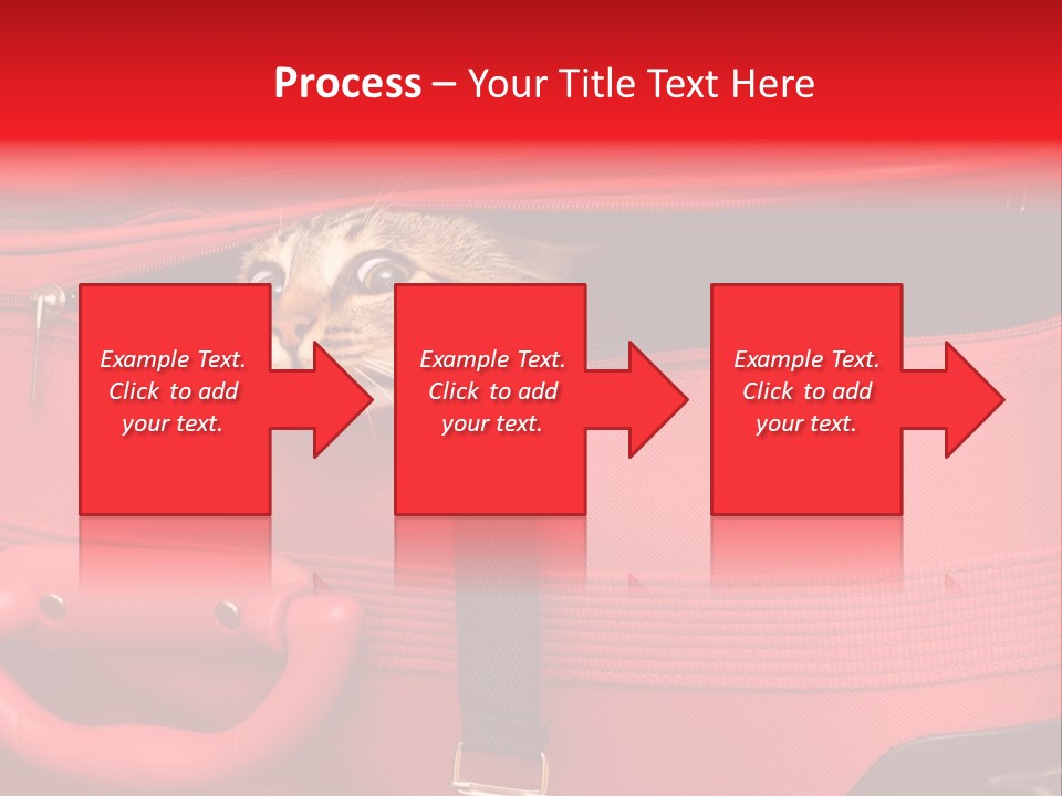 Cat In A Suitcase PowerPoint Template