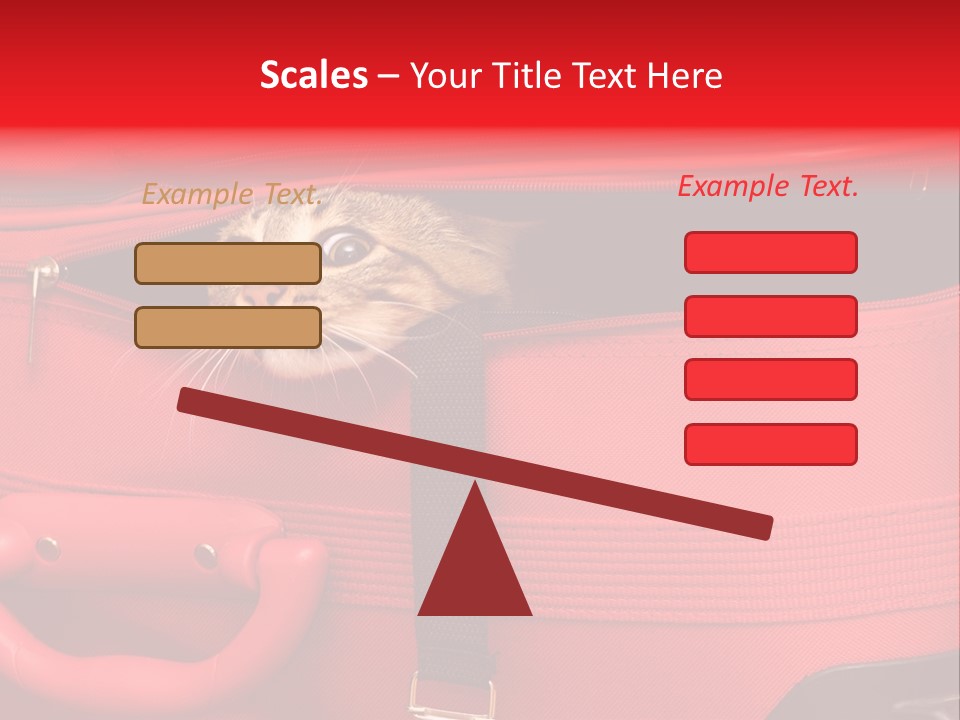 Cat In A Suitcase PowerPoint Template