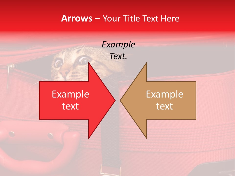 Cat In A Suitcase PowerPoint Template