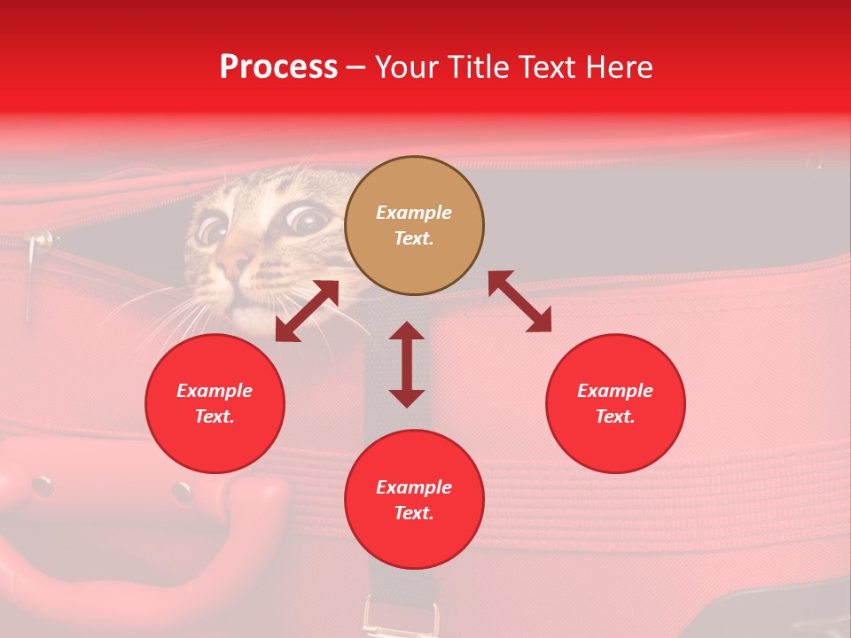 Cat In A Suitcase PowerPoint Template