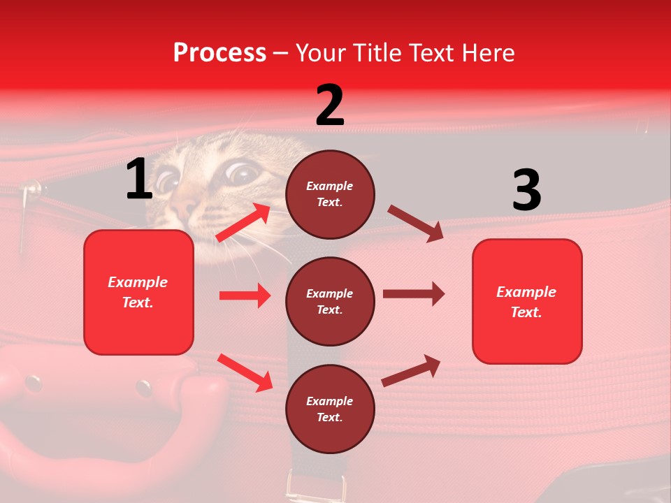 Cat In A Suitcase PowerPoint Template