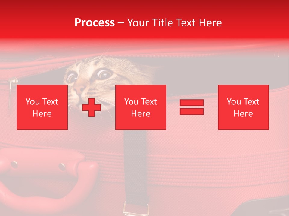 Cat In A Suitcase PowerPoint Template