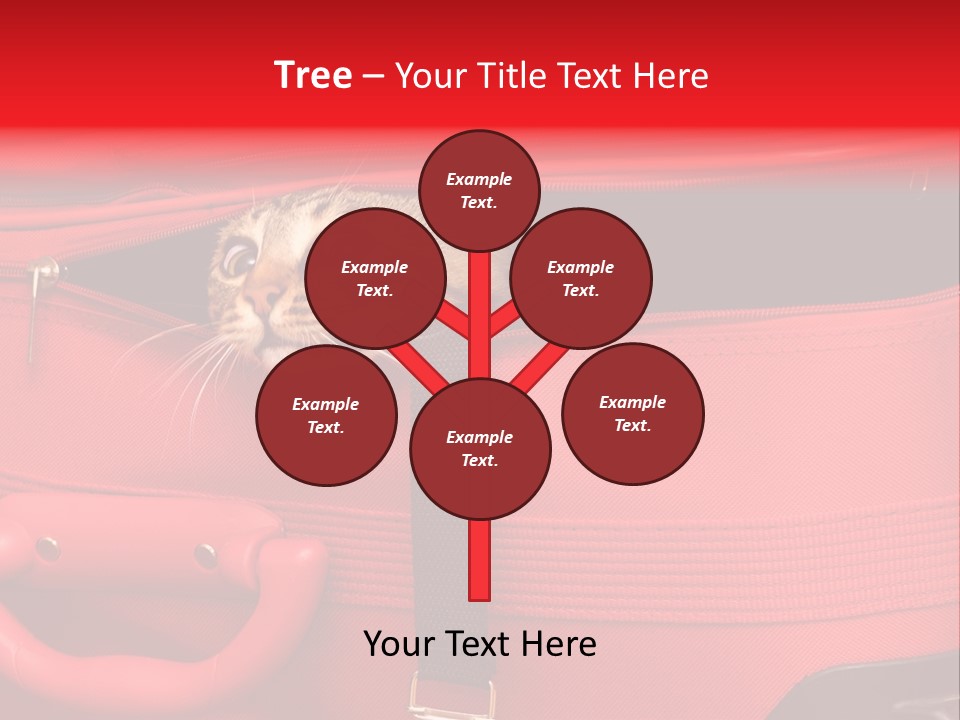 Cat In A Suitcase PowerPoint Template