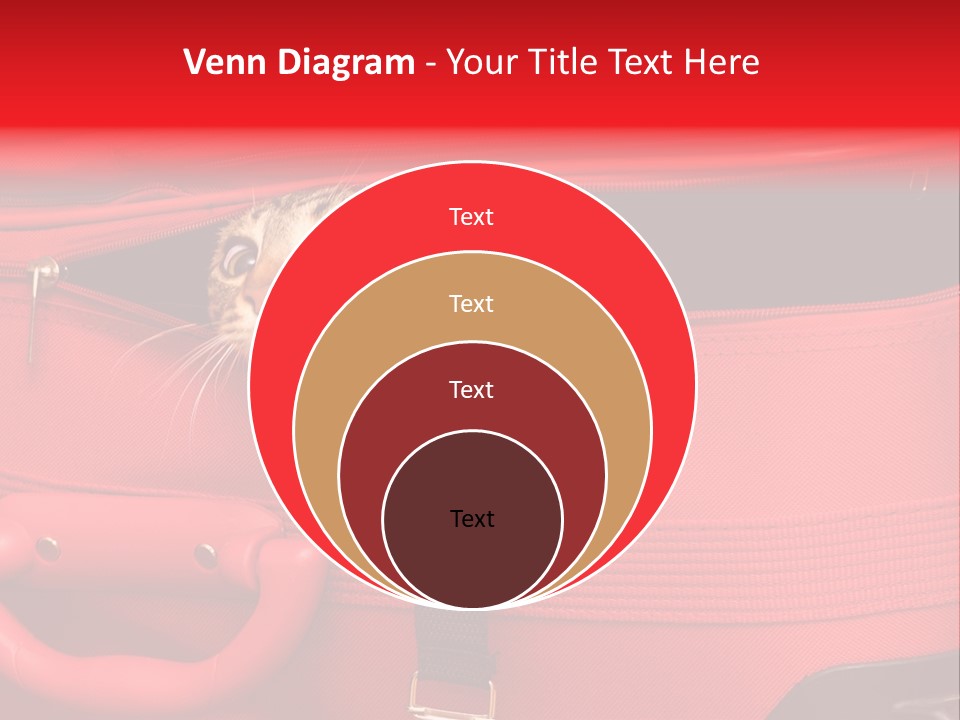 Cat In A Suitcase PowerPoint Template