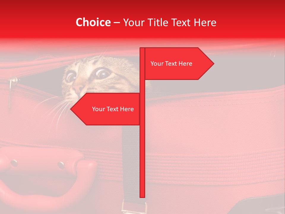 Cat In A Suitcase PowerPoint Template