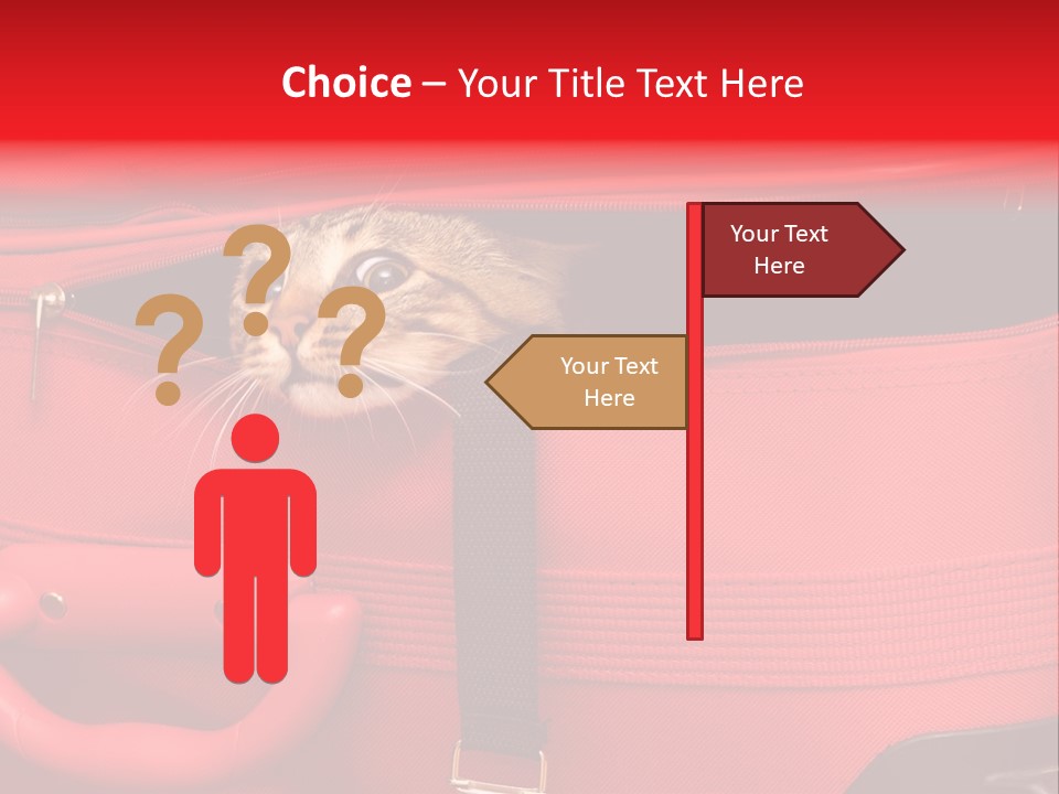 Cat In A Suitcase PowerPoint Template