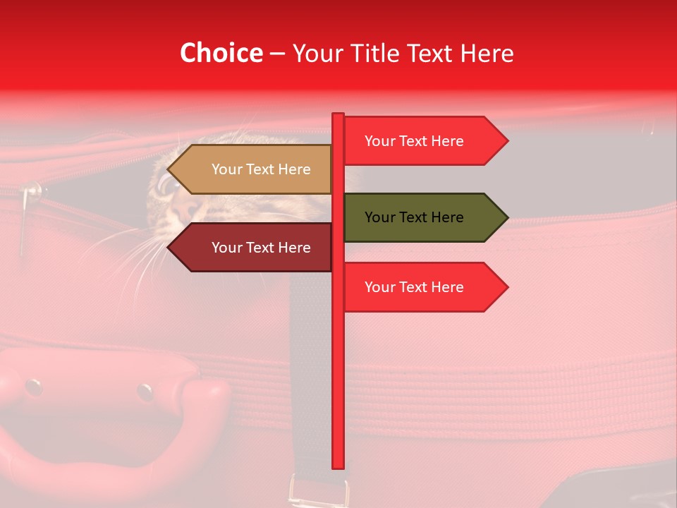 Cat In A Suitcase PowerPoint Template