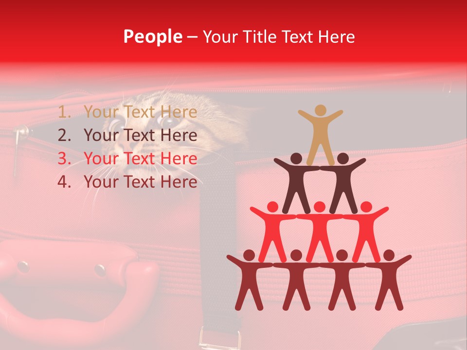 Cat In A Suitcase PowerPoint Template