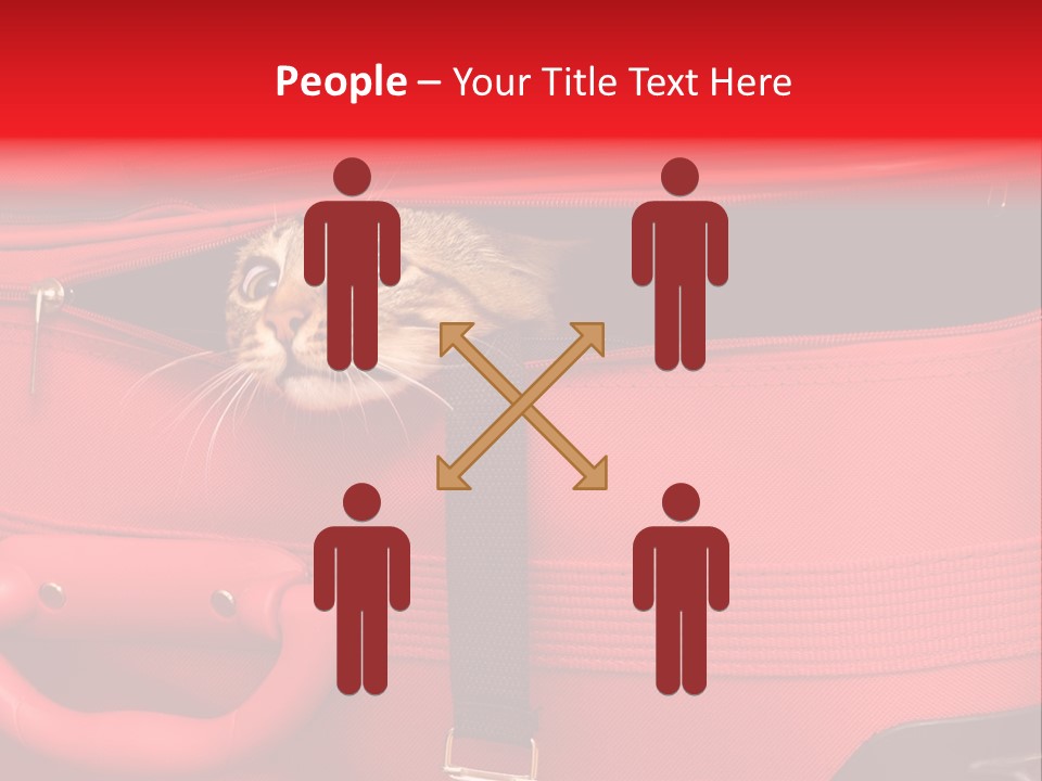 Cat In A Suitcase PowerPoint Template