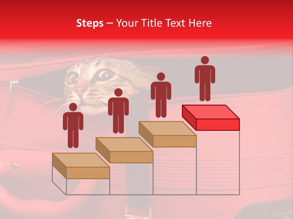 Cat In A Suitcase PowerPoint Template