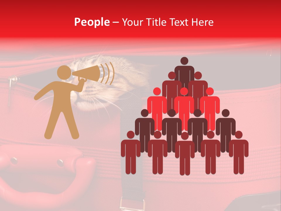 Cat In A Suitcase PowerPoint Template