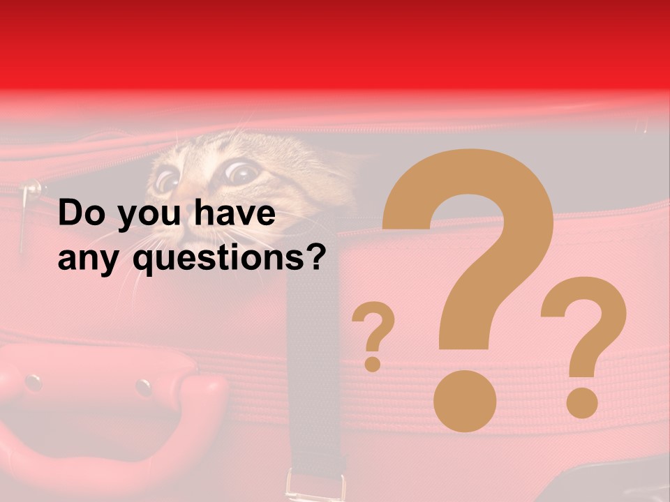 Cat In A Suitcase PowerPoint Template