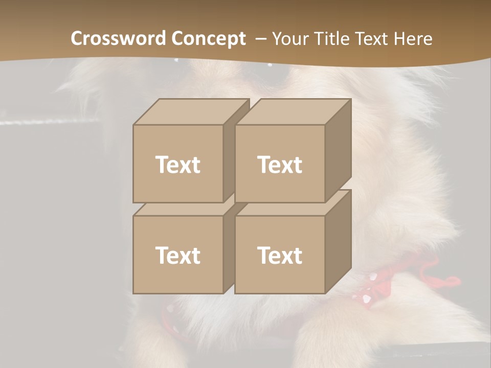 Cute Little Chihuahua-Pomerania N Mix Dog Sitting In Old Fashion Luggage With Pink Outfit PowerPoint Template