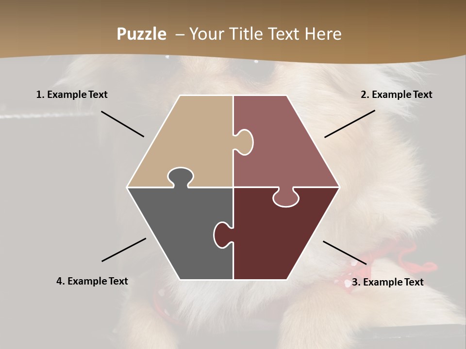 Cute Little Chihuahua-Pomerania N Mix Dog Sitting In Old Fashion Luggage With Pink Outfit PowerPoint Template