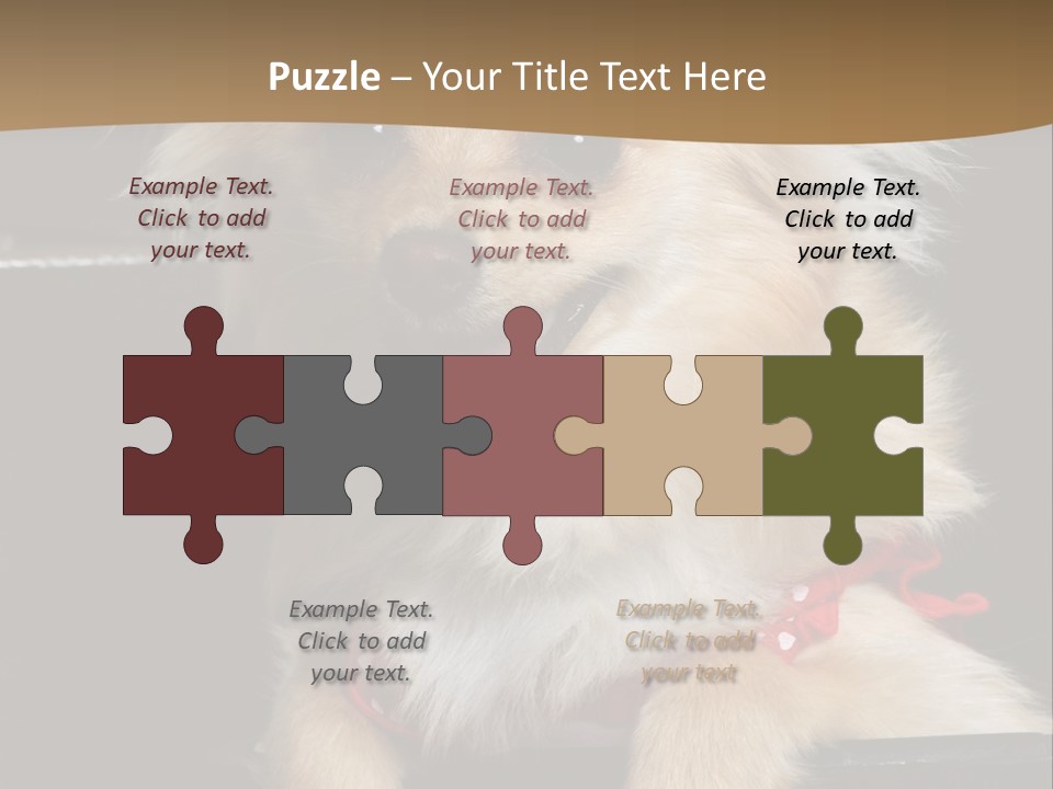 Cute Little Chihuahua-Pomerania N Mix Dog Sitting In Old Fashion Luggage With Pink Outfit PowerPoint Template