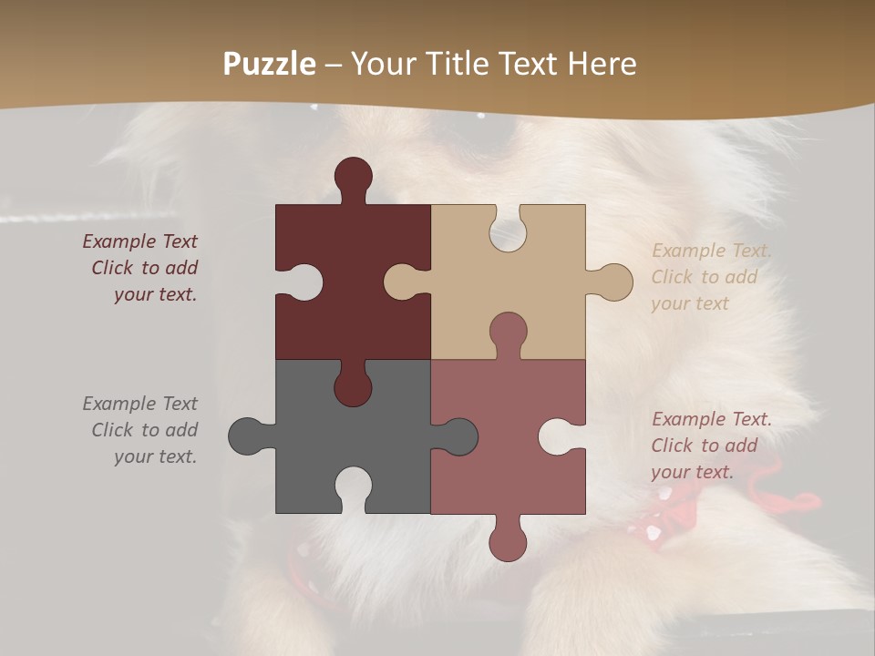 Cute Little Chihuahua-Pomerania N Mix Dog Sitting In Old Fashion Luggage With Pink Outfit PowerPoint Template