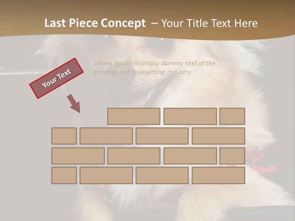 Cute Little Chihuahua-Pomerania N Mix Dog Sitting In Old Fashion Luggage With Pink Outfit PowerPoint Template