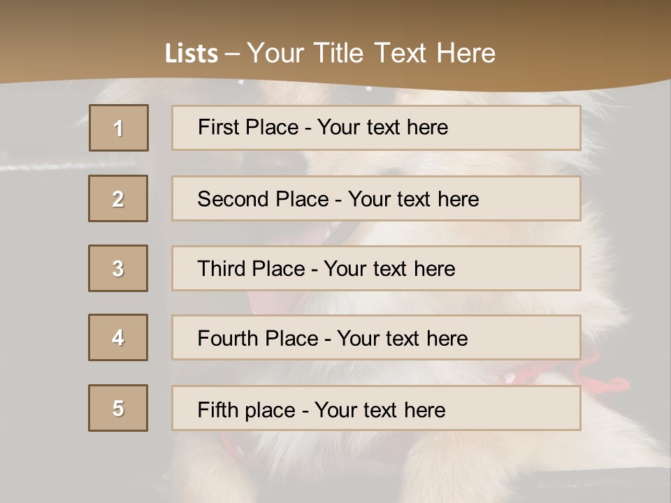 Cute Little Chihuahua-Pomerania N Mix Dog Sitting In Old Fashion Luggage With Pink Outfit PowerPoint Template