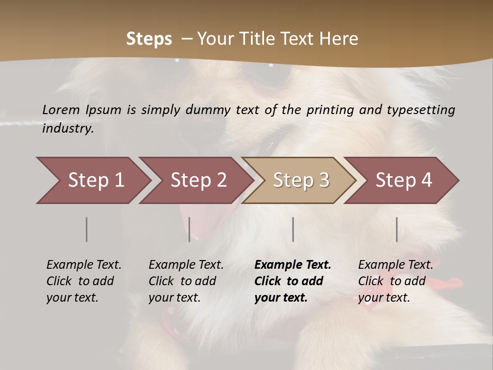 Cute Little Chihuahua-Pomerania N Mix Dog Sitting In Old Fashion Luggage With Pink Outfit PowerPoint Template