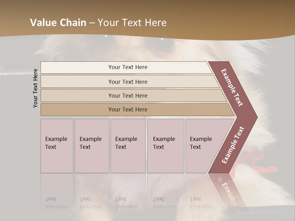 Cute Little Chihuahua-Pomerania N Mix Dog Sitting In Old Fashion Luggage With Pink Outfit PowerPoint Template