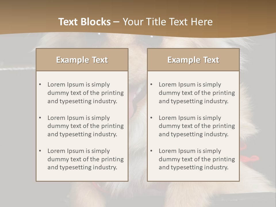 Cute Little Chihuahua-Pomerania N Mix Dog Sitting In Old Fashion Luggage With Pink Outfit PowerPoint Template