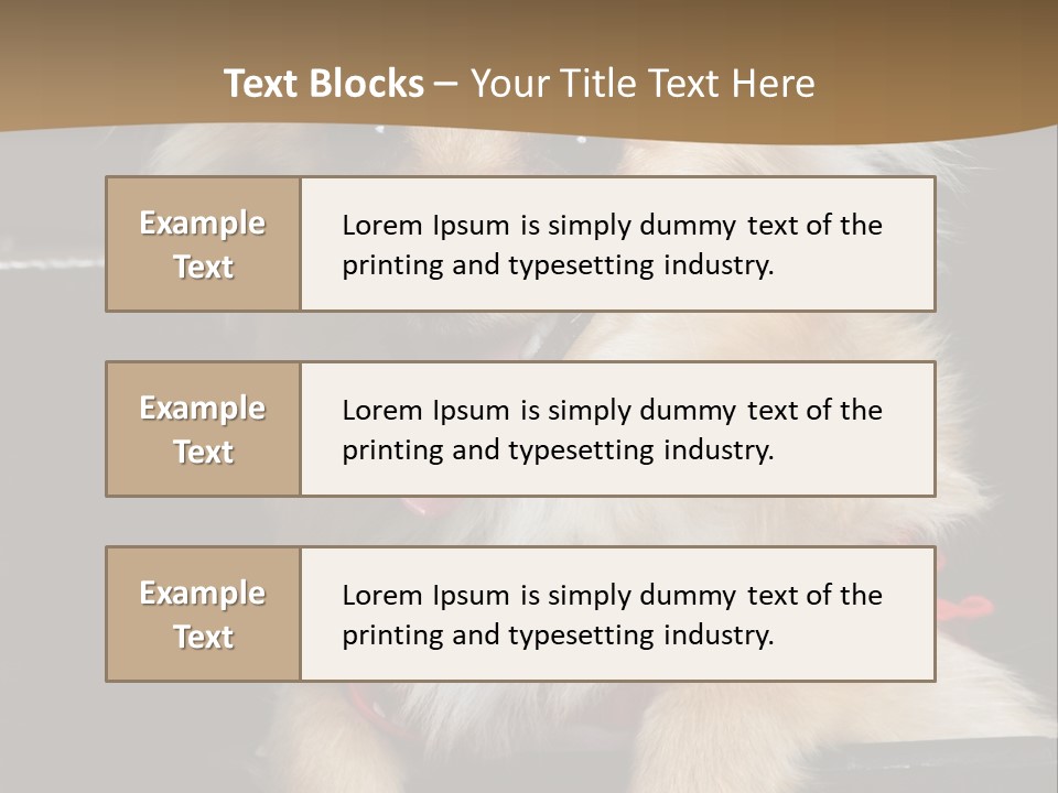 Cute Little Chihuahua-Pomerania N Mix Dog Sitting In Old Fashion Luggage With Pink Outfit PowerPoint Template