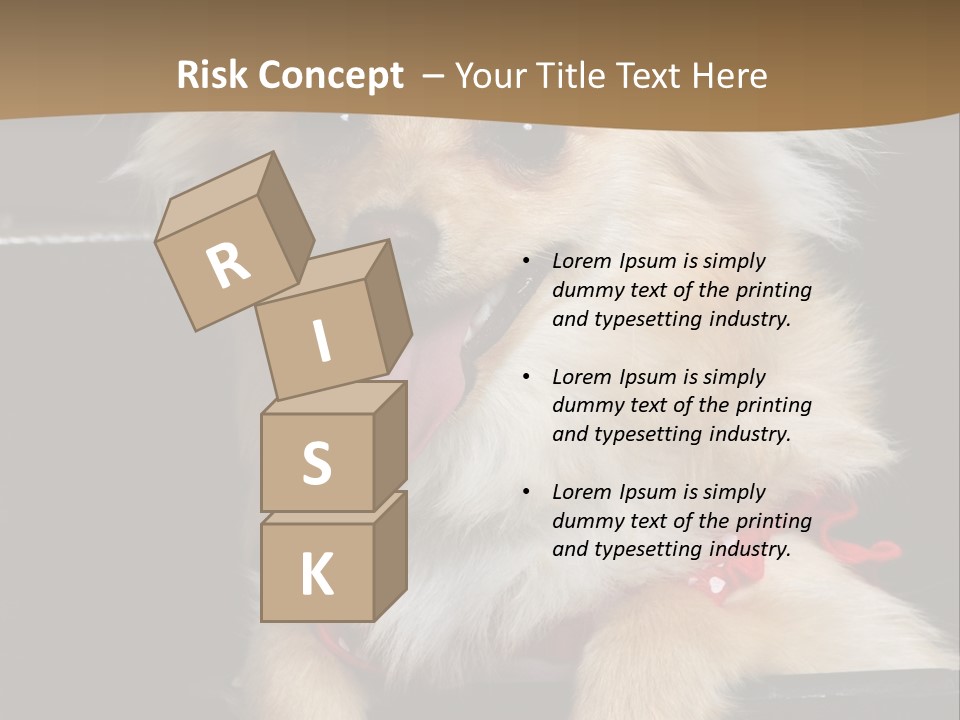 Cute Little Chihuahua-Pomerania N Mix Dog Sitting In Old Fashion Luggage With Pink Outfit PowerPoint Template