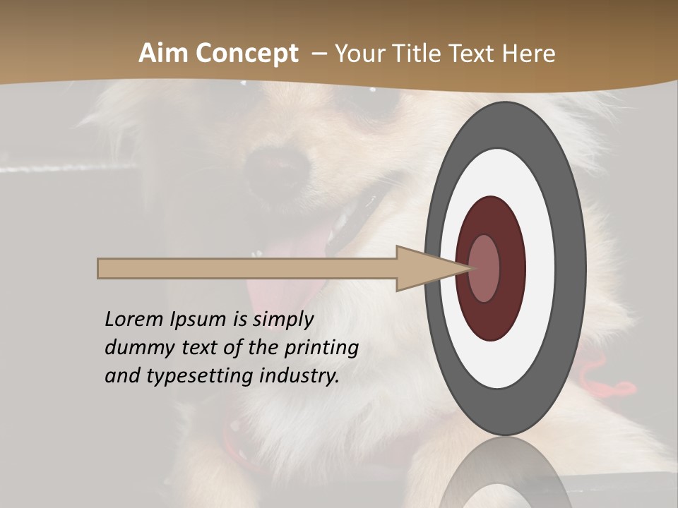 Cute Little Chihuahua-Pomerania N Mix Dog Sitting In Old Fashion Luggage With Pink Outfit PowerPoint Template