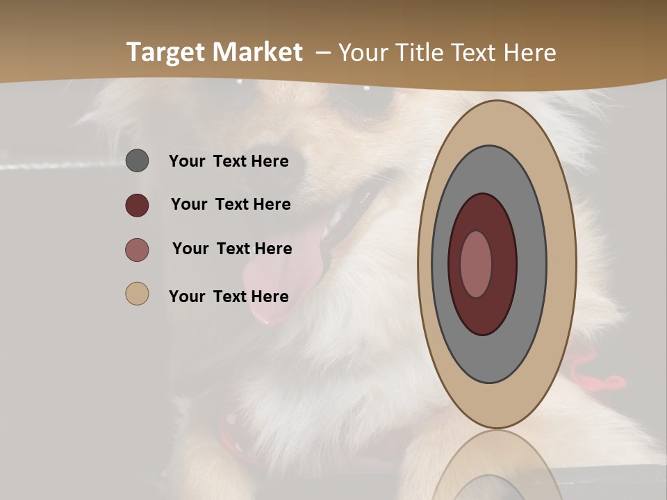 Cute Little Chihuahua-Pomerania N Mix Dog Sitting In Old Fashion Luggage With Pink Outfit PowerPoint Template