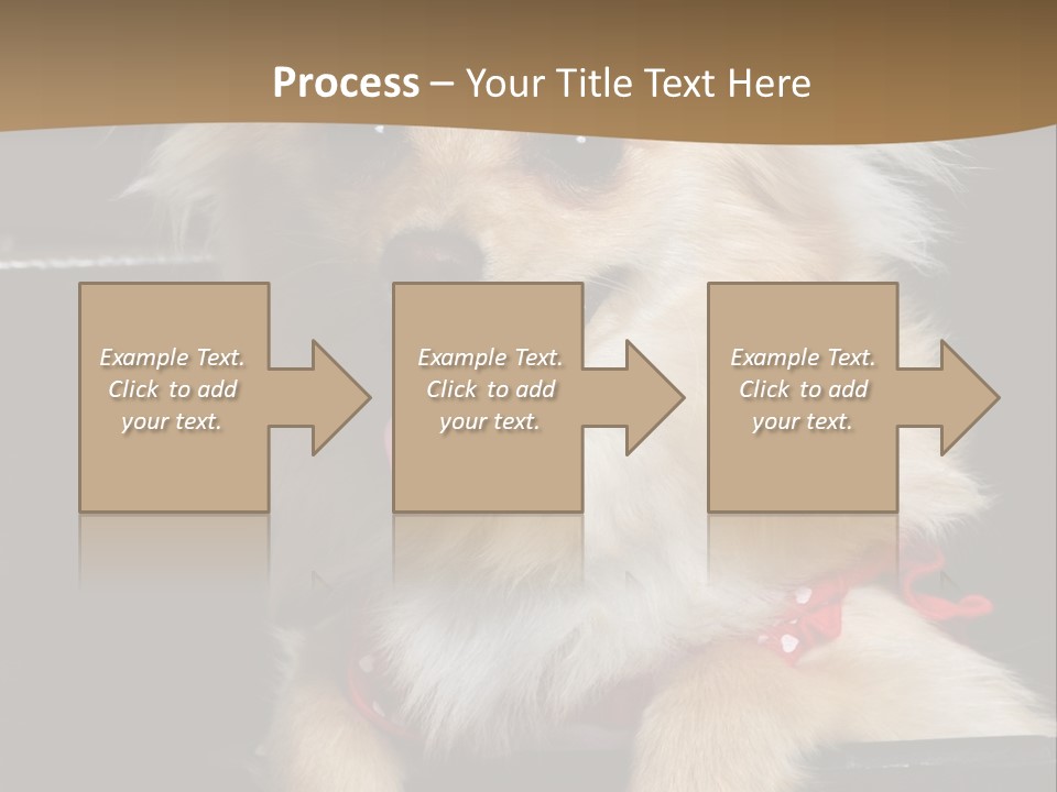 Cute Little Chihuahua-Pomerania N Mix Dog Sitting In Old Fashion Luggage With Pink Outfit PowerPoint Template