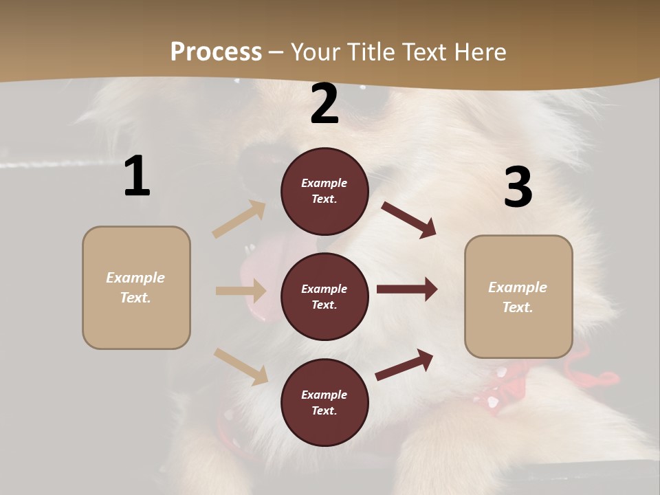 Cute Little Chihuahua-Pomerania N Mix Dog Sitting In Old Fashion Luggage With Pink Outfit PowerPoint Template