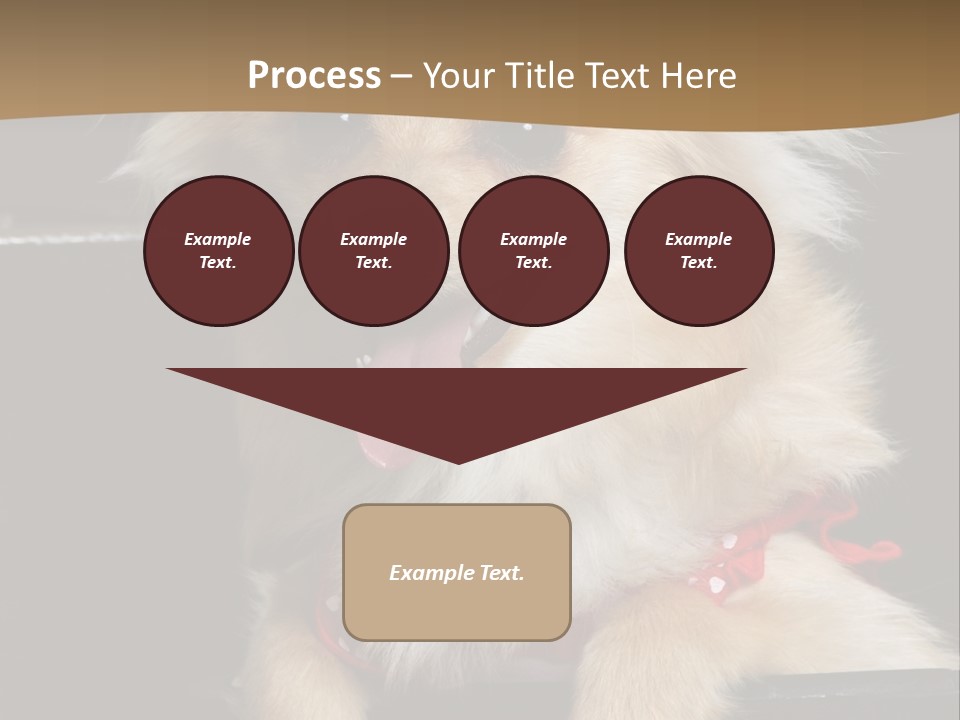 Cute Little Chihuahua-Pomerania N Mix Dog Sitting In Old Fashion Luggage With Pink Outfit PowerPoint Template