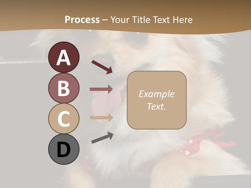 Cute Little Chihuahua-Pomerania N Mix Dog Sitting In Old Fashion Luggage With Pink Outfit PowerPoint Template