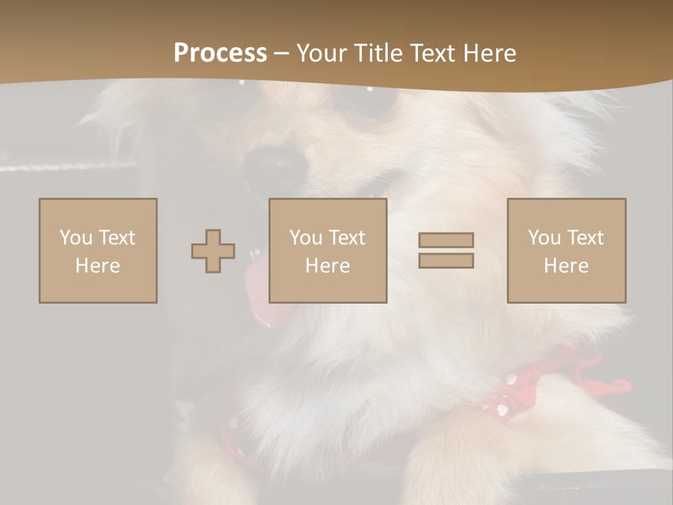 Cute Little Chihuahua-Pomerania N Mix Dog Sitting In Old Fashion Luggage With Pink Outfit PowerPoint Template